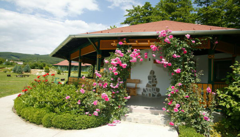 kernvelem012 768x439